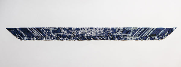 Hermès Eperon d'Or Bandana Twilly