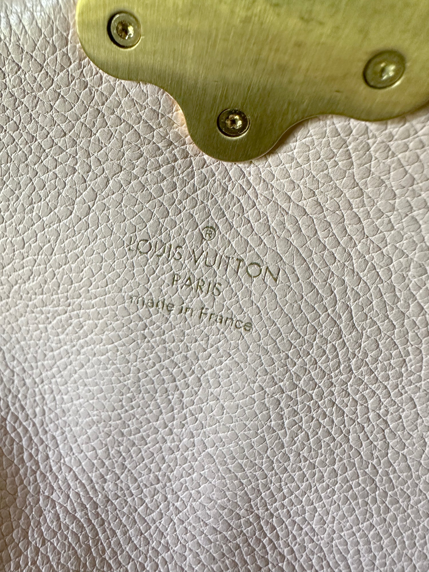 Louis Vuitton Clapton Backpack