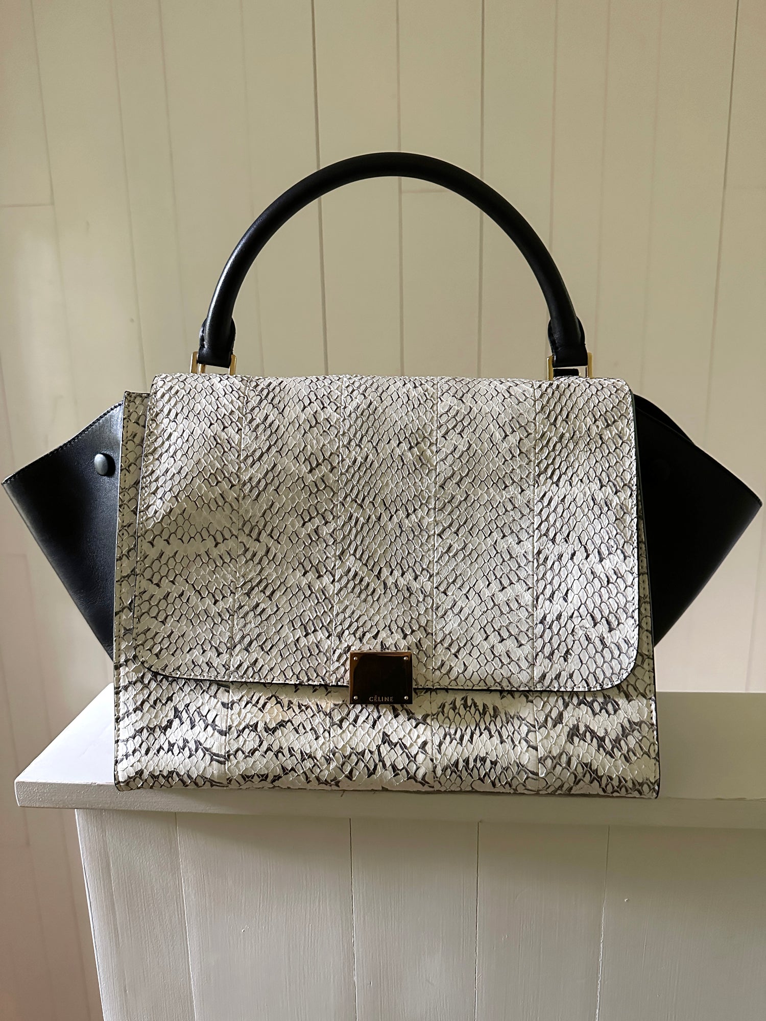 Celine Medium Snake Trapeze