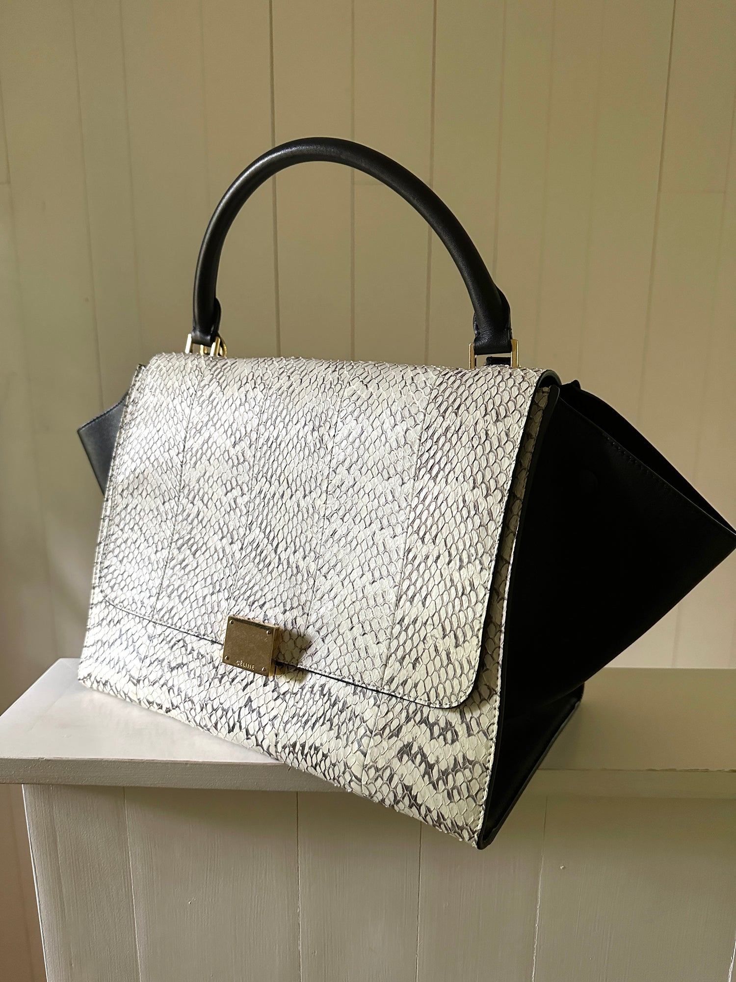 Women's Silver Metallic Trapeze Shoulder Bag