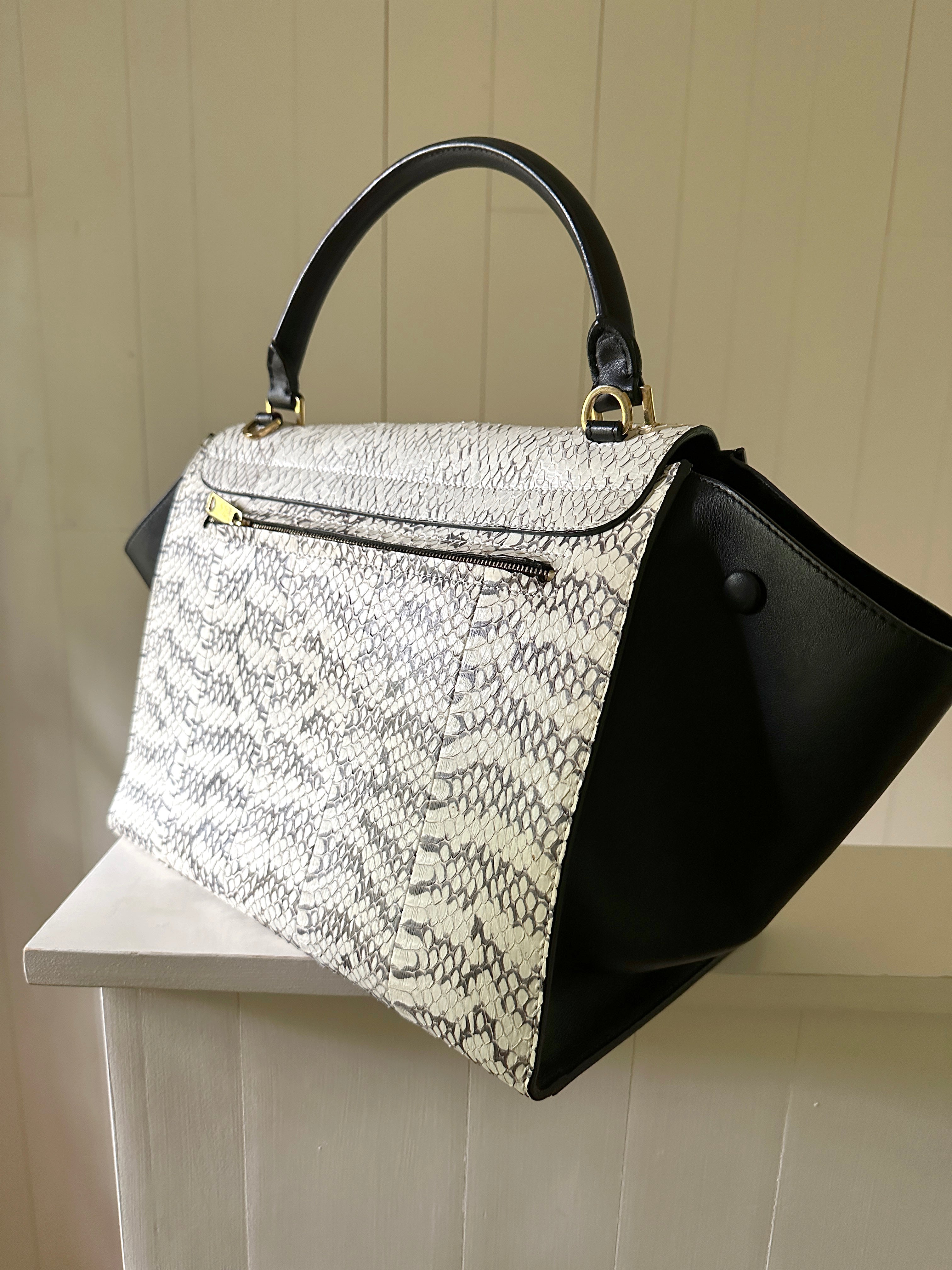 Celine Medium Snake Trapeze