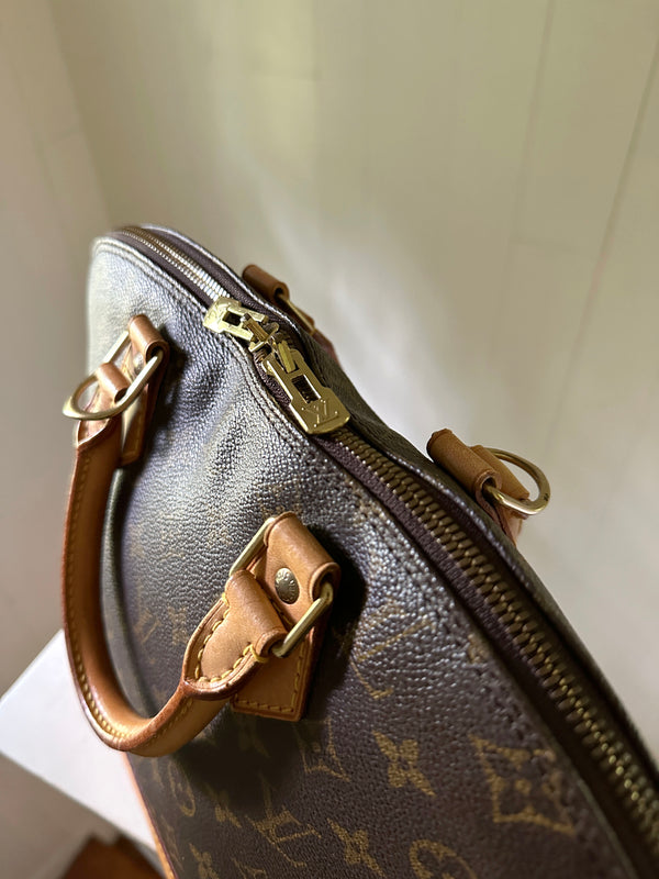 Louis Vuitton Monogram Alma PM