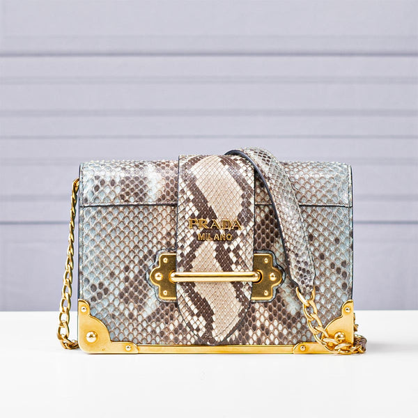 Prada Python Cahier Bag