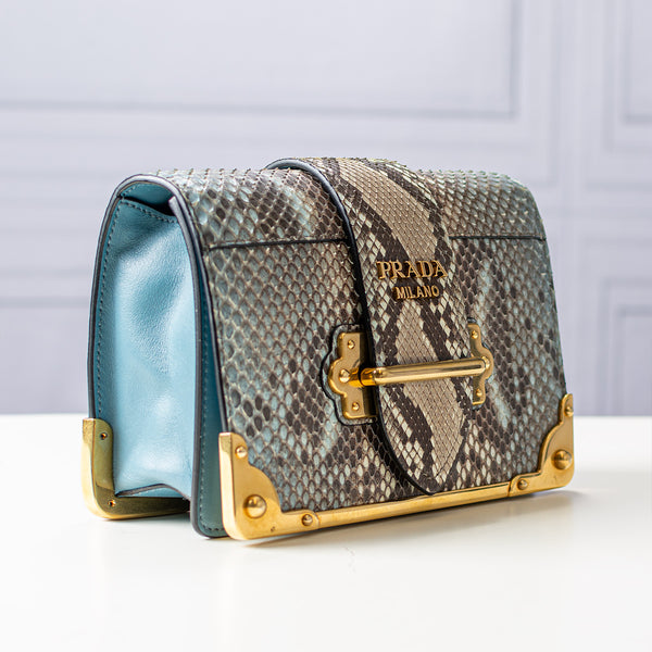 Prada Python Cahier Bag