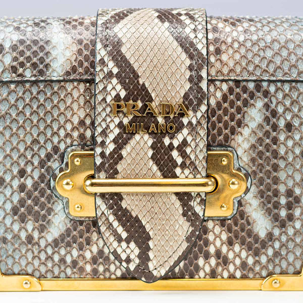 Prada Python Cahier Bag