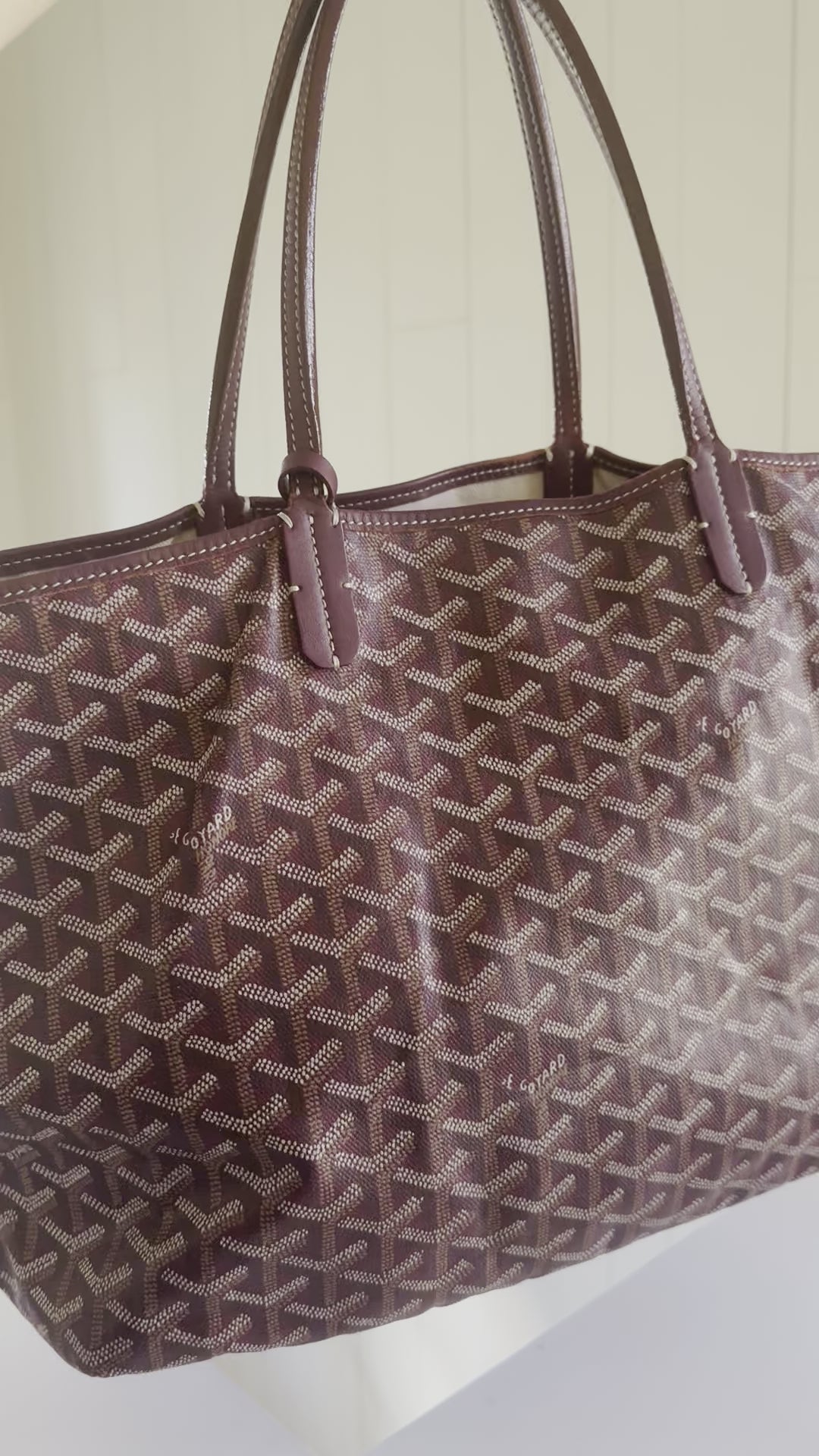 Goyard Saint Louis PM Video